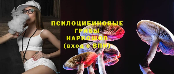 крисы Щигры