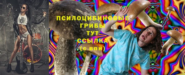 apvp Щучье