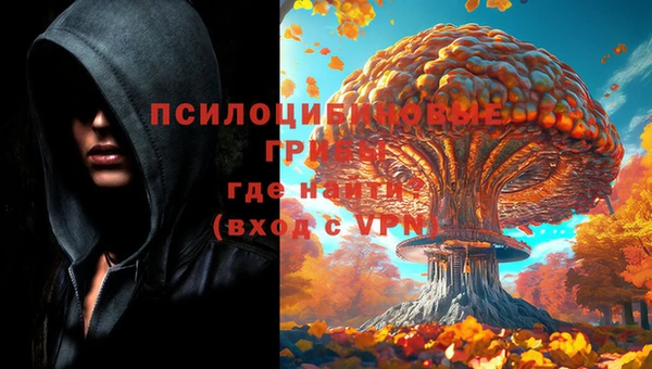apvp Щучье
