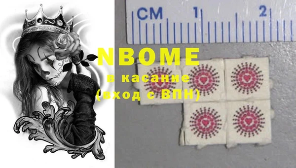 крисы Щигры