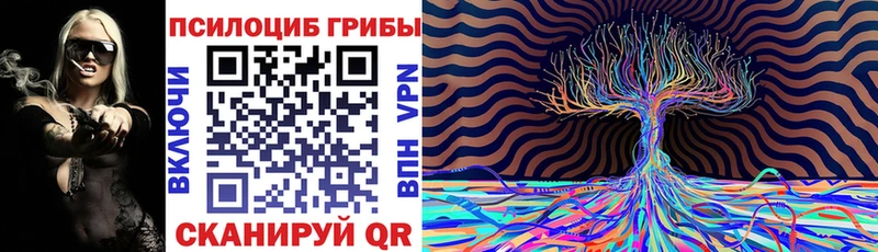 Псилоцибиновые грибы мухоморы  omg   Биробиджан  купить наркоту 