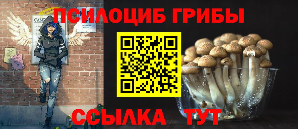 Псилоцибиновые грибы Psilocybine cubensis  Вход с VPN  Биробиджан 